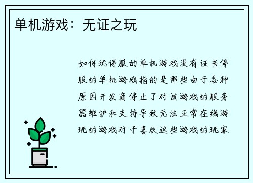 单机游戏：无证之玩