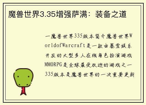 魔兽世界3.35增强萨满：装备之道
